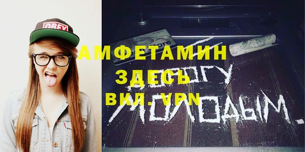 твердый Бородино