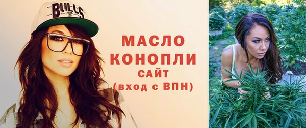 соль ск Богданович