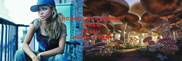 мескалин Бронницы