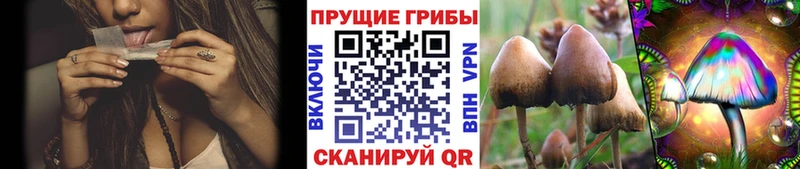 Галлюциногенные грибы мицелий  Мичуринск 